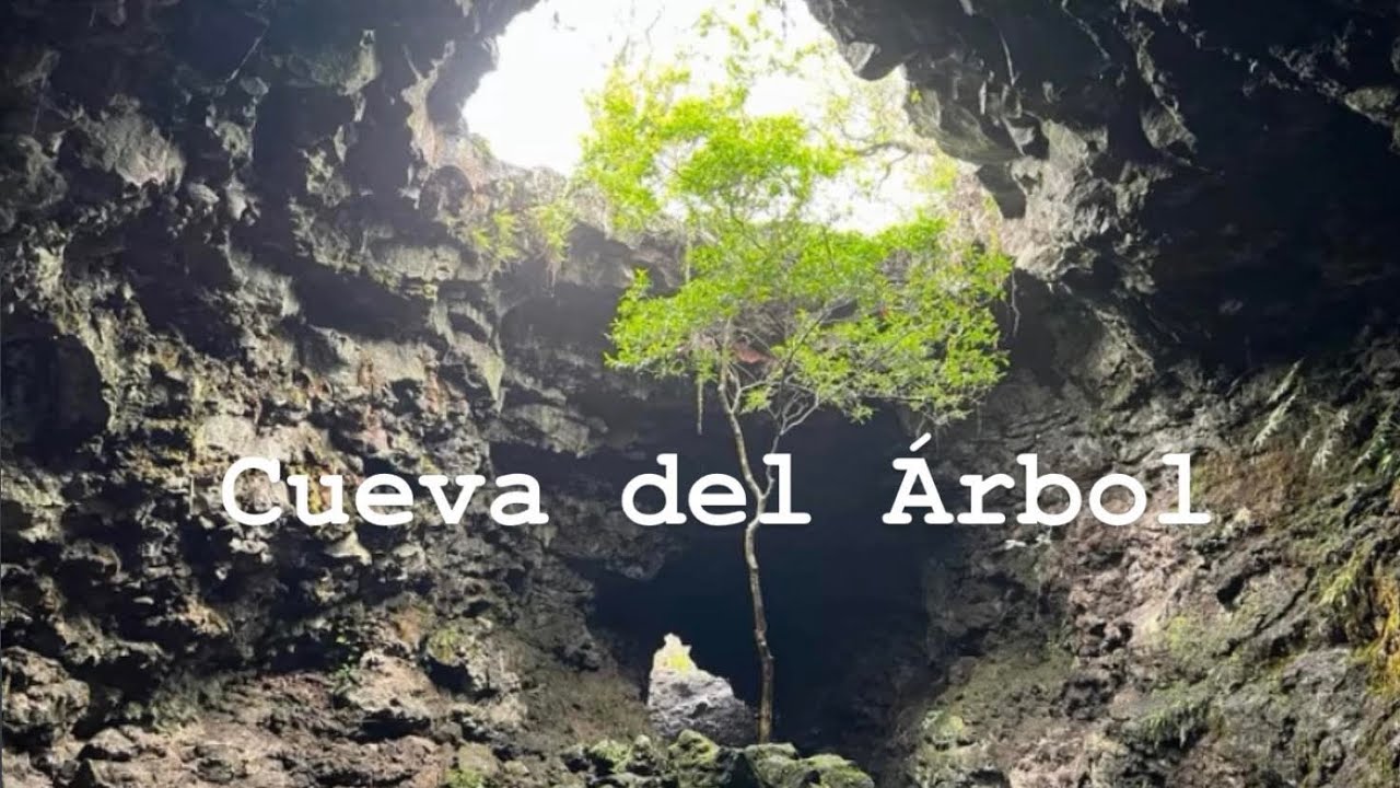 CUEVA DEL ARBOL y CUEVA DE LA RAIZ - AHUATEPEC CUERNAVACA MORELOS