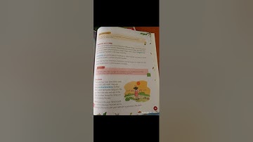 3-CLASS-EVS-CHAPTER-13-MAPPING THE NEIGHBOURHOOD