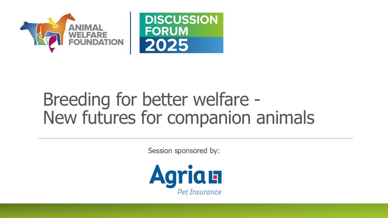 Discussion Forum 2025: Breeding for better welfare – new futures for companion animals