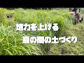 【緑肥】を使った【土づくり】や【雑草】を使った【土づくり】で野菜が元気に育つ！？【農家の家庭菜園】