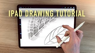 Ipad Drawing Tutorial - HOW TO DRAW LEAF DETAIL TEXTURES