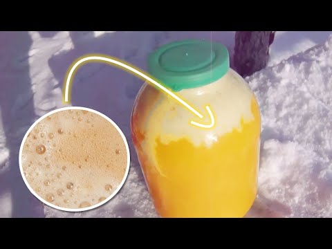 Wideo: Dlaczego miód pszczeli bez żądła jest kwaśny?