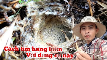 Câu lươn.cách tìm hang lươn với dụng cụ này_tập189//With this tool we will find the eel cave