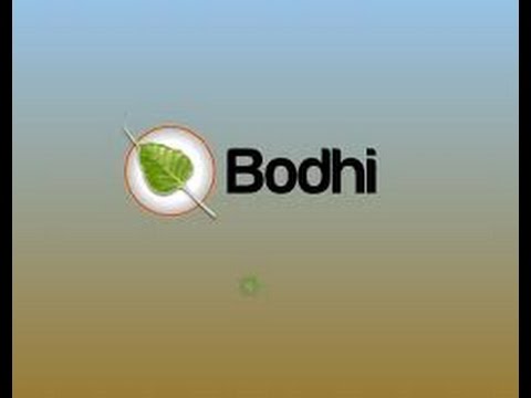 How to Install Bodhi Linux 3.1.0 in Virtual Box with Full Screen Resolutions 