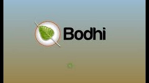 How to Install Bodhi Linux 3.1.0 in Virtual Box with Full Screen Resolutions