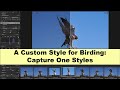 A Custom Style for Birding: Capture One Styles
