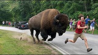 100 Most BRUTAL ANIMAL ATTACKS Caught on Camera | Incredible Moments #4