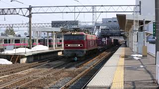 EF510-13JR貨物　弘前駅入線