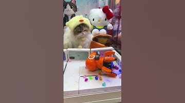 The claw machine surprised me again (part 17) #clawmachine #arcade #prize