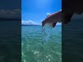 Clear water #hot #summer #water #clear