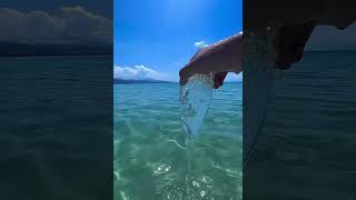 Clear water #hot #summer #water #clear