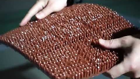 Bolong automatic chicken egg collection system