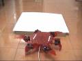 Hexapod climbing and rolling down on platform of 70mm height
