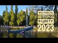 Фестиваль &quot;Белгород в цвету 2023&quot;