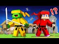 Beating Enemies as Ninjas - Minecraft Maizen
