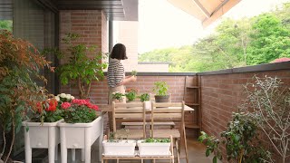 𝗦𝗨𝗕) Townhouse terrace flower gardening and healing 🌷