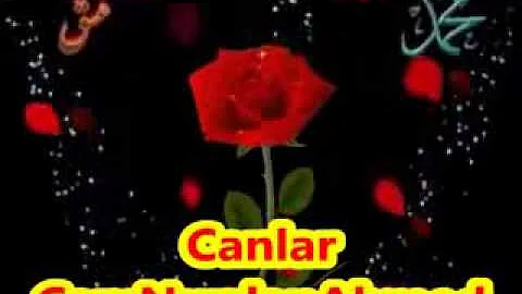Canlar  Can Nurdan Ahmet s a v)