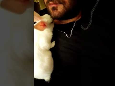 Tavşan Aşkı 2 / Rabbit Love Vol 2