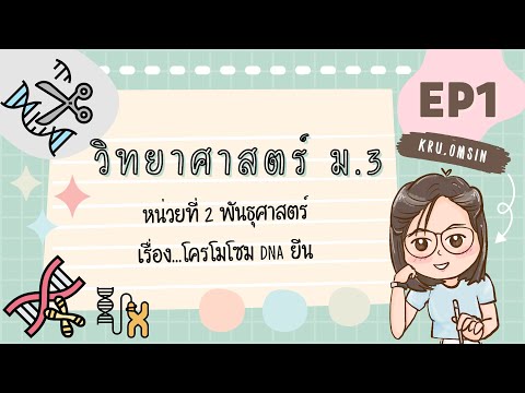 โครโมโซม ดีเอ็นเอ ยีน | วิทยาศาสตร์ ม.3 หน่วยที่ 2 EP.1