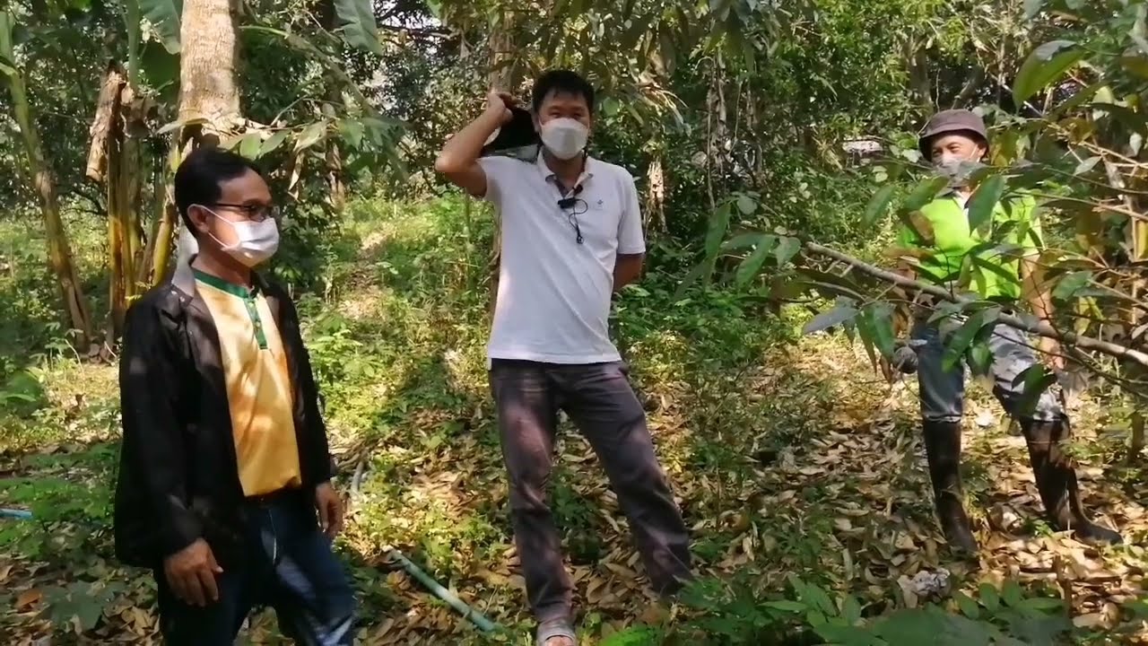 เรื่องเล่าชาวเกษตรราชบุรี พืชแม่นม/ต้นทองหลางน้ำ​ EP3