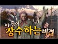 이 섬 사람들은 왜 100살 넘게 사는걸까요...? - VR챗 상황극 "장수섬의 비밀"