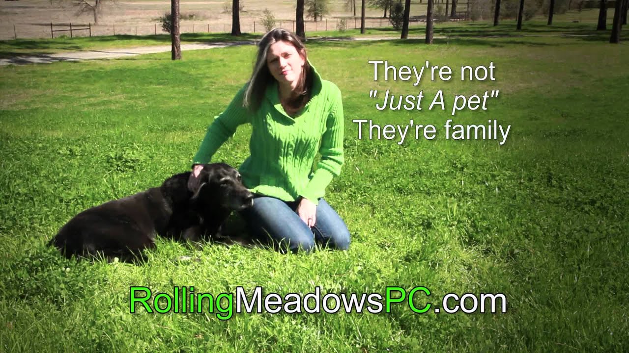 Rolling Meadows Pet Crematory Longview TX YouTube