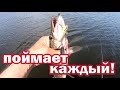 СУПЕР ПРИМАНКА Новичку ! ПОЙМАЕТ КАЖДЫЙ!!! Спиннинг для начинающих. Рыбалка на щуку