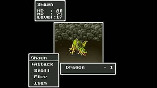 Dragon Quest I & II (SNES) - Quagmire Cave - Green Dragon screenshot 2