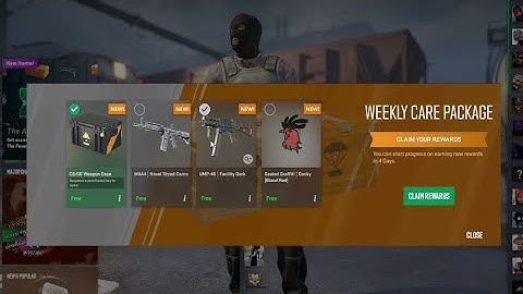 100 Euro Case from Weekly Drops - Counter Strike 2 - Weapon Case