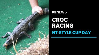 Northern Territory celebrates cup day with reptile races | ABC News