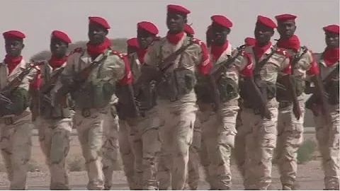 Chad, Niger forces kill 123 Boko Haram in a crackdown