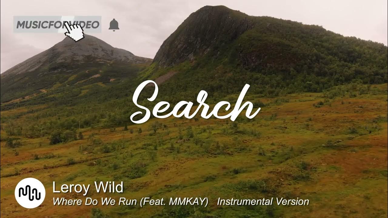 Best dramatic search music for video leroy wild where do we run