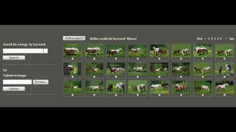 Imprezzeo - Similarity image searches