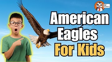Learn About American Eagles! Bald Eagle Fun Facts for Kids! Interactive Learning