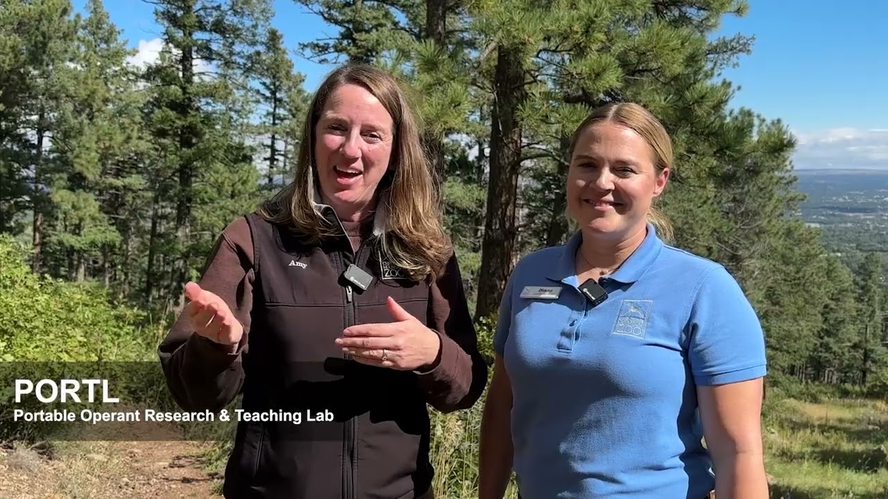 The International Center for the Care and Conservation of Giraffe for the ABMA's 2025 Behavior Month