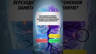 Квиз викторина по психологии #квиз #викторина #вопросы #психология