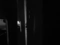 Who was that? #urbanlegend #horror #terrifyingtales #scary #creepypasta #sockie