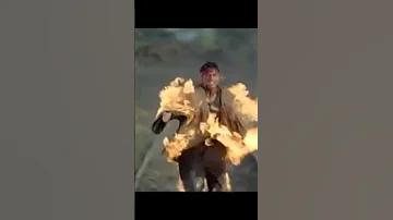 شنكر ينتقم من رشسهاي 