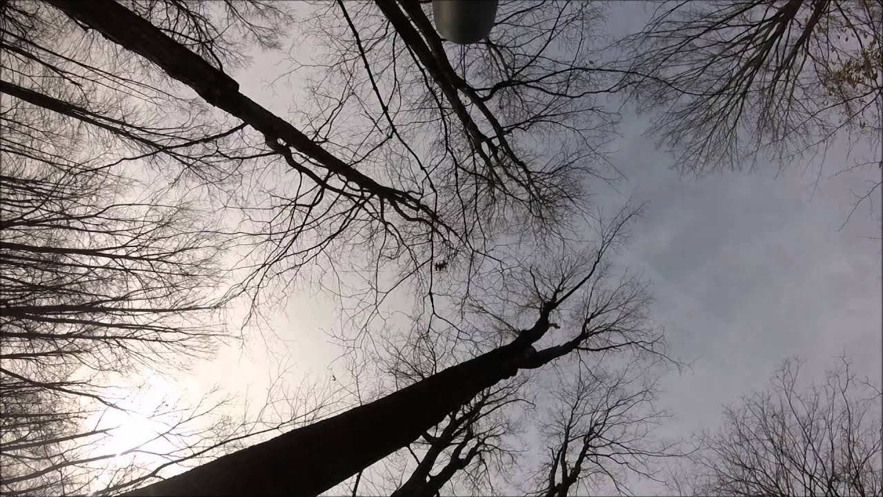 squirrel hunt Remington 870 YouTube