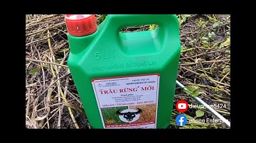 Thí Nghiệm xịt thuốc trừ cỏ mới hiệu " Trâu Rừng Mới" kết quả rất tuyệt vời luôn..