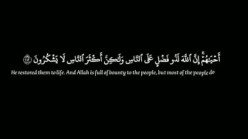 سورة البقرة| الآيات {243-245}|القارئ: محمد هشام|كروما |قرآن خلفية سوداء