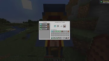 When You Find A Wandering Trader (meme by @DreamWasTaken)