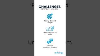 Famous Top 3 Project Management Challenges EXPOSED! How to Overcome Them Like a Pro! #Redwingz #yt Wealth
