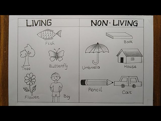Needs of Living Things