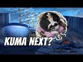 Kuma Next SS Unit!? | One Piece Fighting Path