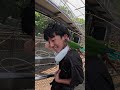 くすぐりインコ、可愛さが限界突破