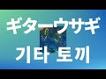 눈이 붉어진 일요일 밤에🌙: 스다 마사키(菅田将暉) - 기타 토끼(ギターウサギ) [가사/발음/한글 자막/해석]