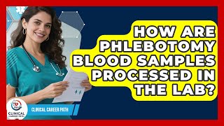 How Are Phlebotomy Blood Samples Processed In The Lab? - Clinical Career Path