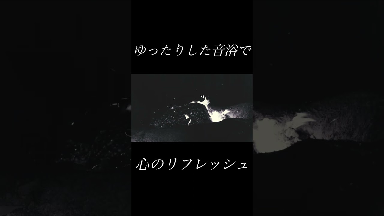 Mira 音浴 relaxing & healing ambient sound en YouTube Mira 音浴 relaxing & healing ambient sound en YouTube