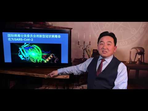 《石涛聚焦》「武汉病毒被命名:非典SARS2.0」习总“买下”WHO力保“天命伟人”